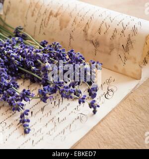 Studio shot of lavender on antique handwriting Stock Photo