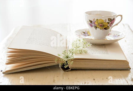 Studio shot of teacup and book with flower Stock Photo