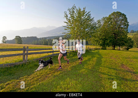 Border Collie (Canis lupus f. familiaris), young couple with dog trail running, Austria, Styria, Dachstein Stock Photo