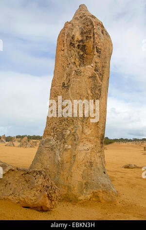 Pinnacle at the Nambung National Park, Australia, Western Australia, Nambung Nationalpark Stock Photo