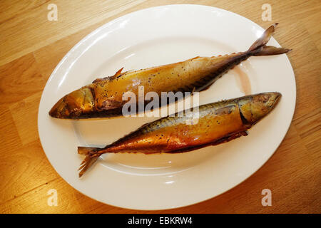 Smoke cooked fish Atlantic mackerel on a white platter. Stock Photo