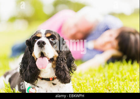 Smiling couple with dog lying in grass Stock Photo