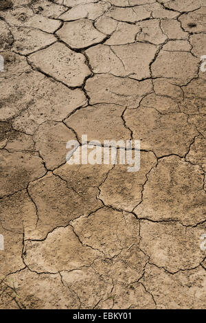 Dry Cracked Mud In Drought Detail Stock Photo