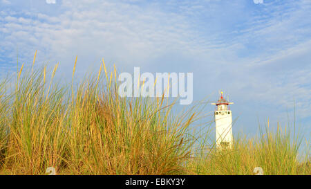 lighthouse behind the dunes of Noordwijk, Netherlands, South Holland, Noordwijk Stock Photo
