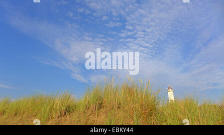 lighthouse behind dunes of Noordwijk, Netherlands, South Holland, Noordwijk Stock Photo
