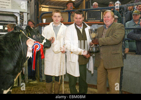 Melton Mowbray, Leicestershire, UK. 2nd Dec 2014.  The trophy for the champion beast at the Annual Melton Mowbray and Belvoir Fatstock Show being presented to ,from left to right, Charles Thompson, Jonathan Thompson by the Mayor of Melton Mowbray Cllr John Wyatt. Credit:  Jim Harrison/Alamy Live News Stock Photo