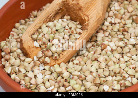 buckwheat (Fagopyrum esculentum), seeds in dish with a wooden spoon Stock Photo
