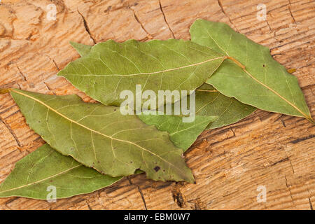 sweet bay laurel, bay tree, sweet bay (Laurus nobilis), dried leaves of sweet bay Stock Photo