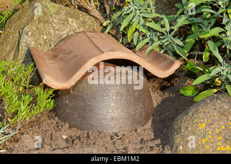 nesting aid for bumble bees in the garden, Germany Stock Photo