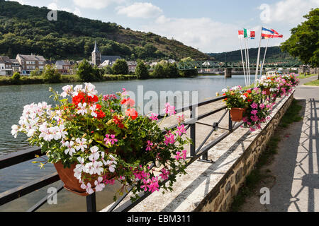 View across the River Meuse from Vireux-Wallerand to Vireux-Molhain, Ardennes, France Stock Photo