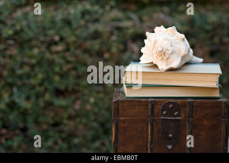 Conch shell with stack of books on a chest Stock Photo