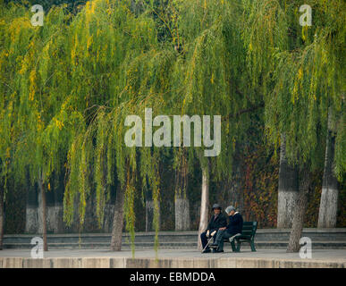 Two Asian old ladies sitting on a bench beneath a large willow tree Stock Photo