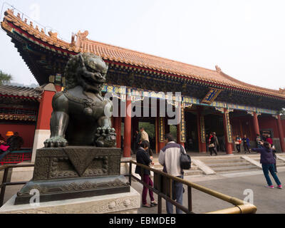 Bronze statue of Chinese guardian lions in the Summer Palace in Beijing, China Stock Photo