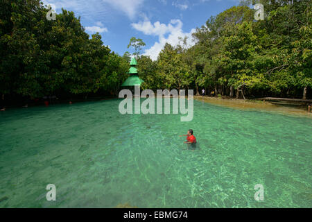 The Sa Morakot Emerald Pool in Krabi, Thailand Stock Photo