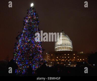 Washington, DC, USA. 2nd Dec, 2014. The Capitol Christmas Tree is lit in front of the Capitol Hill in Washington, DC, capital of the United States, Dec. 2, 2014. The 2014 Capitol Christmas Tree is a white spruce from the Chippewa National Forest in Cass Lake, Minnesota. Credit:  Bao Dandan/Xinhua/Alamy Live News Stock Photo