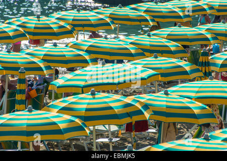 Rows of parasols on the beach, Sestri Levante, Liguria, Italy, Europe Stock Photo