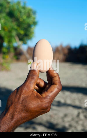 Megapode egg (Megapodiidae), Savo Island, Central Province, Solomon Islands Stock Photo