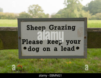Sheep Grazing, Please Keep Your Dog on a Lead Sign Attached to a Wooden Gate on a Farm in Rural Warwickshire, England, UK Stock Photo