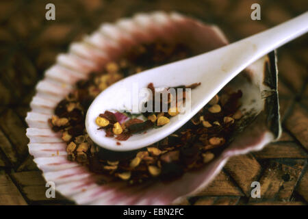 chili (Capsicum frutescens), chili flakes Stock Photo