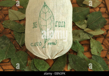 cocaine, Bolivian coca (Erythroxylon coca, Erythroxylum coca), dried leaves des cocaine Stock Photo