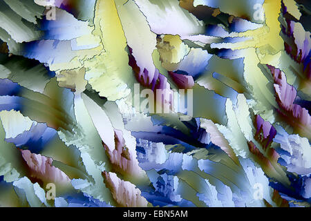 crystalls of urea in polarized light Stock Photo