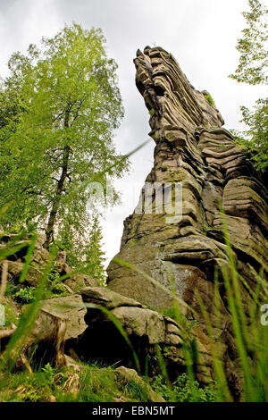 natural landmark Greifensteine, Germany, Saxony, Ehrenfriedersdorf Stock Photo