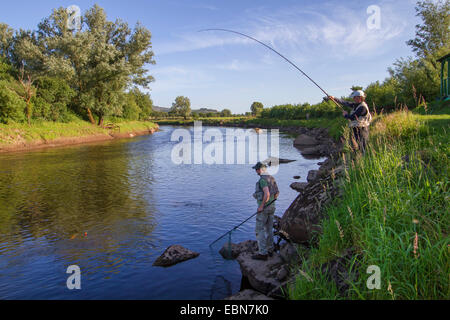 Atlantic salmon, ouananiche, lake Atlantic salmon, landlocked salmon, Sebago salmon (Salmo salar), two anglers fishing a salmon, Ireland, Moy River Stock Photo