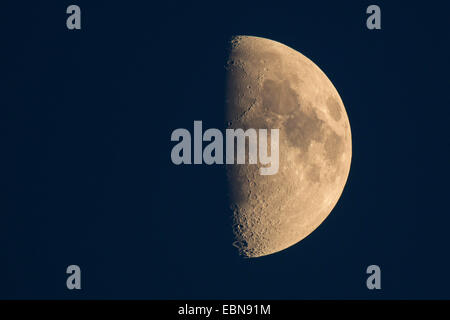 half moon, first quarter, Germany, Bavaria Stock Photo