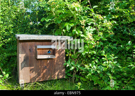 nesting-box for bumble-bee, Germany Stock Photo