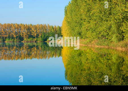 renaturated lake in former mining area, Germany Stock Photo