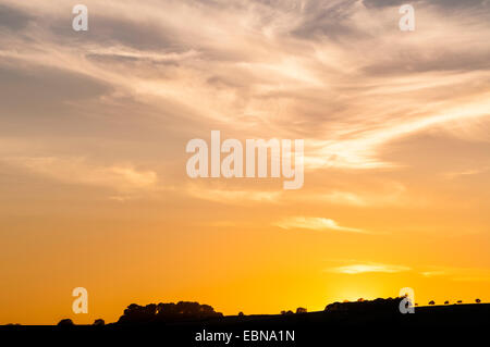 Sun setting behind trees on top of a hill in Devon Stock Photo