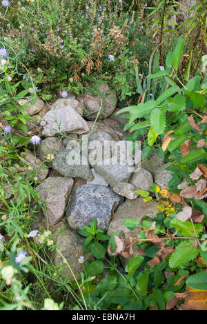 natural stones on a pile of stones, as shelter, habitat for animals in the garden, Germany Stock Photo