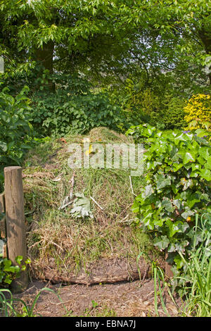 compost heap, Germany Stock Photo