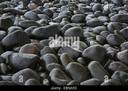 stones on the beach, United Kingdom, England, Northumberland