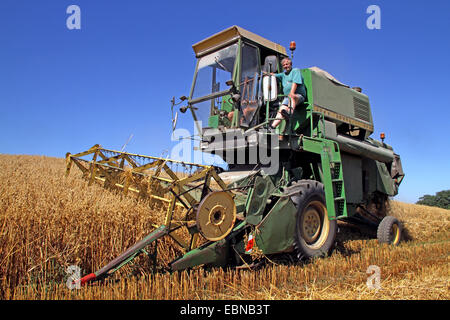 corn harvester on oat field, Germany Stock Photo