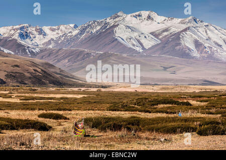 open air toilette in steppe, snow-caped mountain range in background, Kyrgyzstan, Djalalabad, Taskoemuer Stock Photo