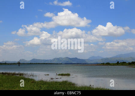 lake at Yala National Park, Sri Lanka, Yala National Park Stock Photo