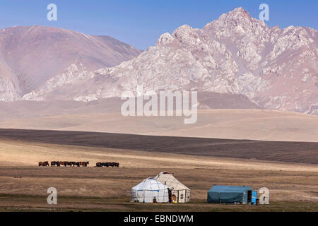 yurts and horses in steppe, mountain range in background, Kyrgyzstan, Lake Song Kul , Naryn Stock Photo