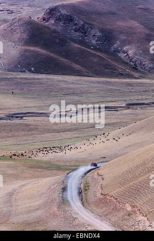 car on country road in waste hilly landscape, Kyrgyzstan, Kochkor Stock Photo