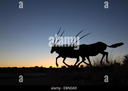 gemsbock, beisa (Oryx gazella), monument at the entrance of the Twee Rivieren camp, before sunrise, South Africa, Kgalagadi Transfrontier National Park Stock Photo