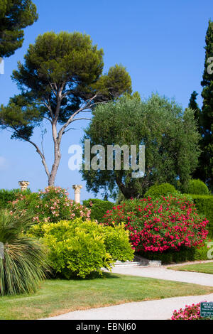 pathes through the garden of the Villa Ephrussi de Rothschild with replicas of antique collums in the background, France, Saint-Jean-Cap-Ferrat Stock Photo