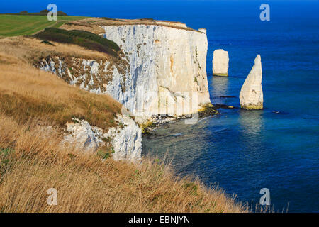 Old Harry Rocks at the Jurassic Coast in Southengland, United Kingdom, England, Dorset, Bournemouth Stock Photo