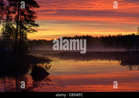 moor pond in the morning, Sweden Stock Photo