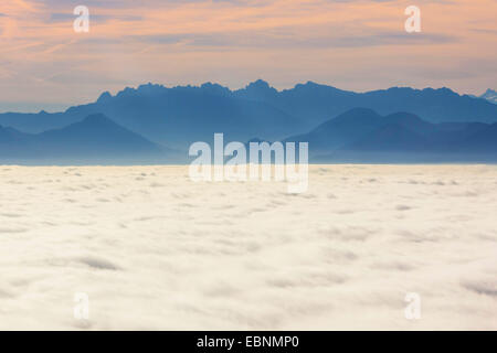 Wilder Kaiser mountain ridge standing out of cloud cover, Austria, Tyrol, Kaisergebirge Stock Photo
