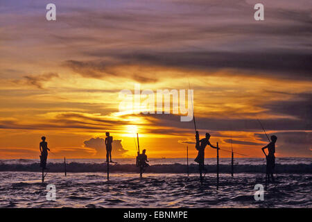 stilt fishermen at Sri Lanka, Sri Lanka Stock Photo