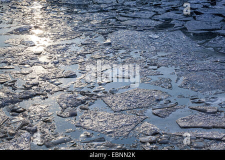 drifting ice on the river Neckar in backlight, Germany, Baden-Wuerttemberg, Neckar Valley Stock Photo