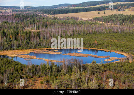 aerial view to moor pond in raised bog, Czech Republic, Sumava National Park Stock Photo