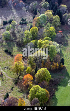 aerial view to leaved trees in autumn colour, Czech Republic, Sumava National Park Stock Photo