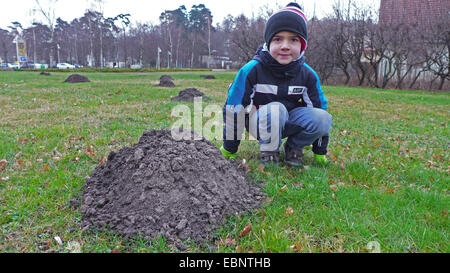 European mole, Common mole, Northern mole (Talpa europaea), boy squatting beside a molehill in a park, Germany Stock Photo