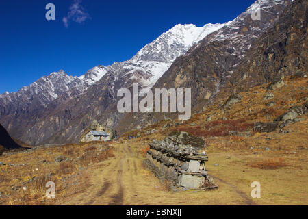 Mani wall near the village Langtang, Nepal, Langtang Himal Stock Photo